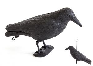 Wizualny Odstraszacz Ptaków - Replika Kruka.